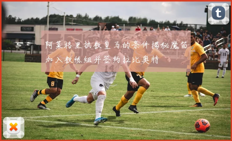 阿莱格里执教皇马的条件揭秘魔笛加入教练组并签约拉比奥特