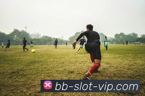 贝博平台平台生态图