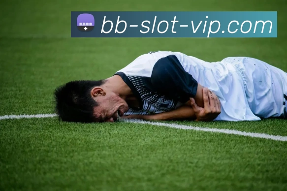 贝博平台APP 封面图